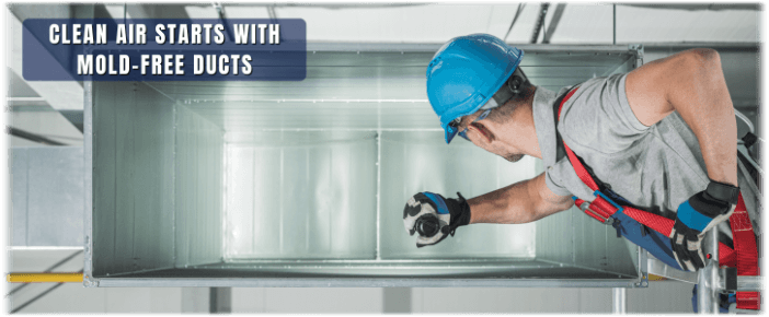 Air Duct Mold Removal in Friendswood TX