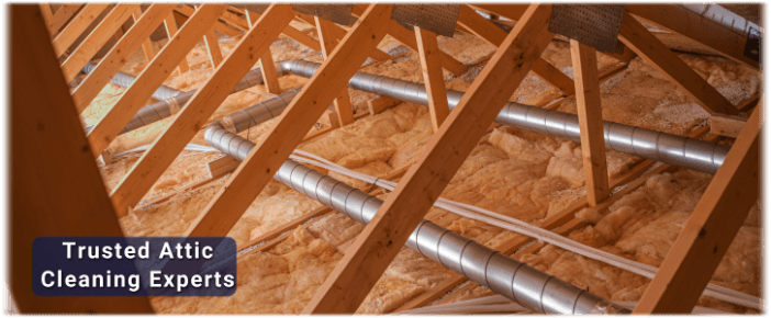 Attic Cleaning Friendswood TX