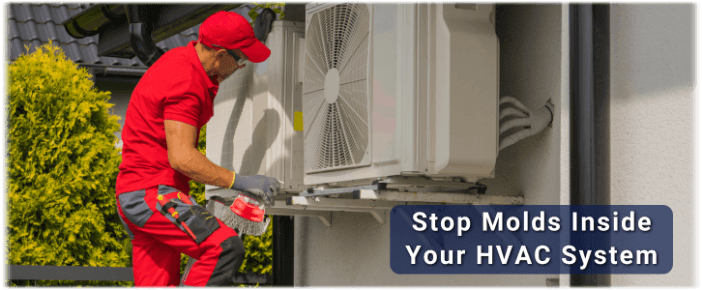 HVAC Mold Removal Friendswood TX